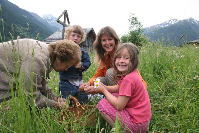 plantes sauvages